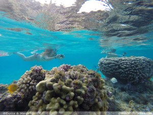 Eco Sailing Charter Tuamotu